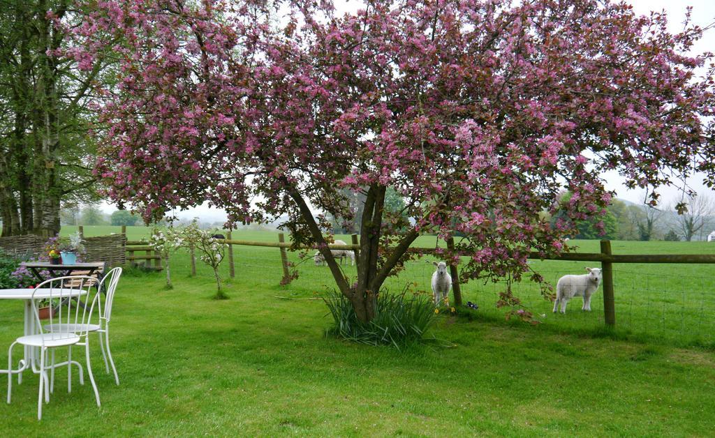 Yew Tree Farm Bed & Breakfast Eaton  Dış mekan fotoğraf